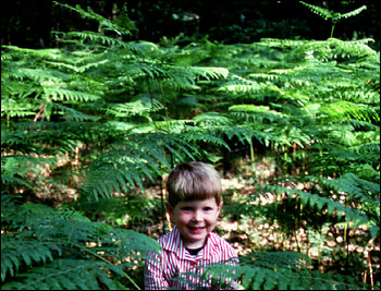 boy in ferns