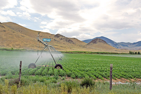 Photograph of irrigation in Idaho.