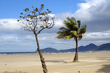 A windy day at a Brazilian beach.