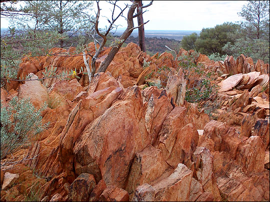 Outcrop of rock containing the oldest piueces of Earth ever found