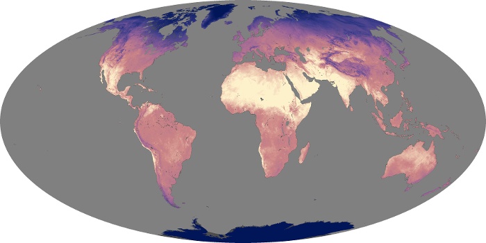 Global Map Land Surface Temperature Image 3