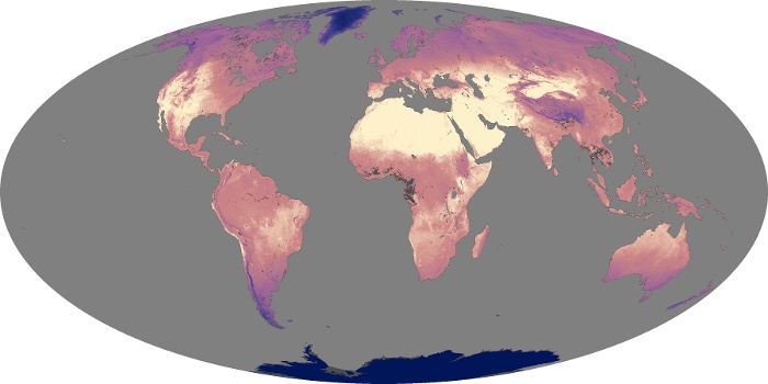 Global Map Land Surface Temperature Image 6
