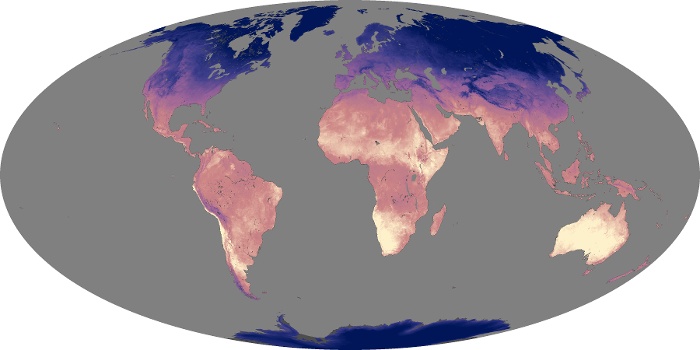 Global Map Land Surface Temperature Image 12