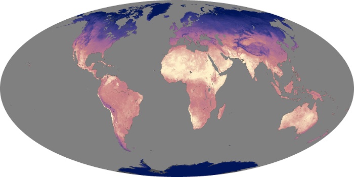 Global Map Land Surface Temperature Image 13