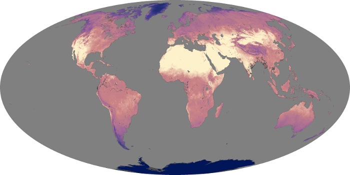 Global Map Land Surface Temperature Image 17