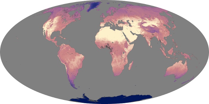 Global Map Land Surface Temperature Image 19