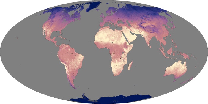Global Map Land Surface Temperature Image 20