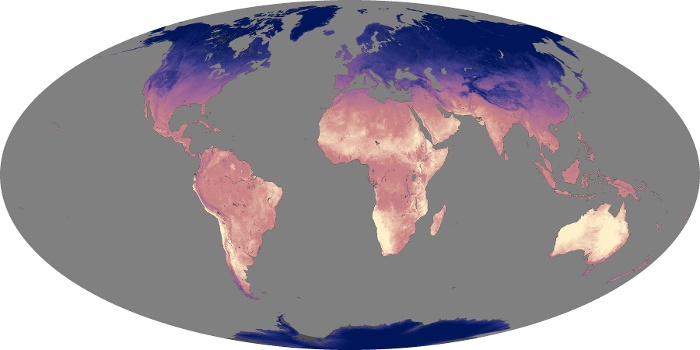 Global Map Land Surface Temperature Image 22