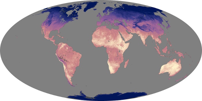 Global Map Land Surface Temperature Image 25