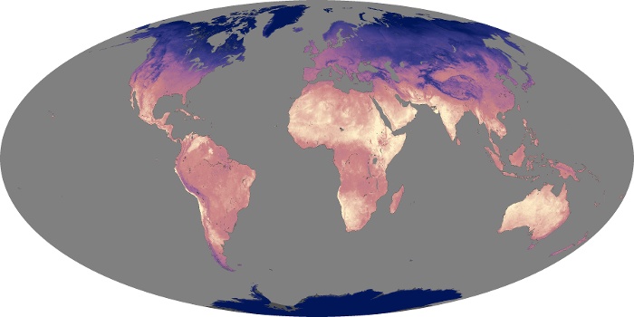 Global Map Land Surface Temperature Image 37