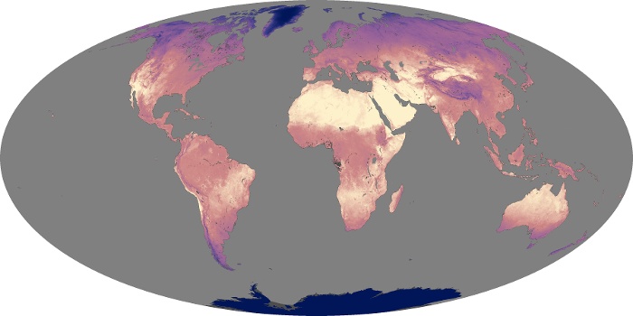 Global Map Land Surface Temperature Image 43