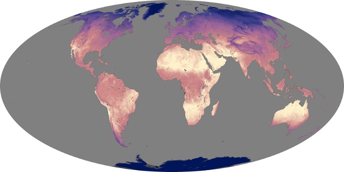 Global Map Land Surface Temperature Image 45