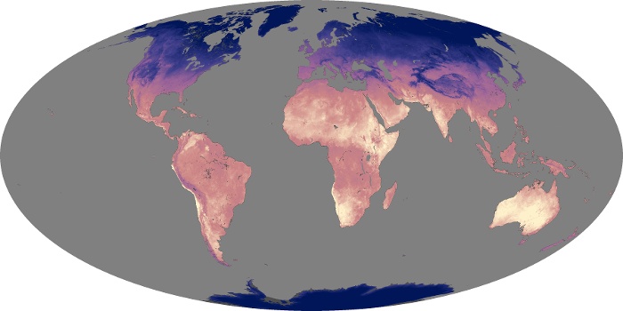 Global Map Land Surface Temperature Image 49