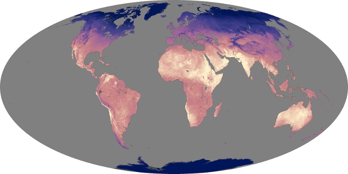 Global Map Land Surface Temperature Image 50