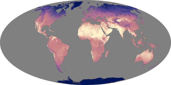 Global Map Land Surface Temperature Image 51