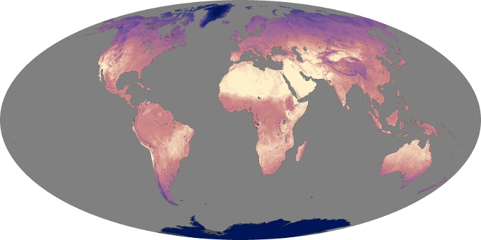 Global Map Land Surface Temperature Image 55