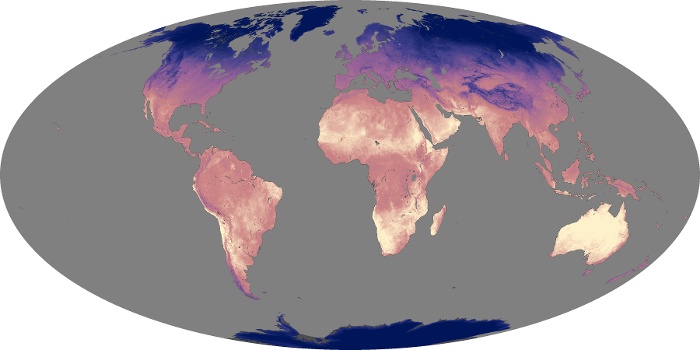 Global Map Land Surface Temperature Image 82