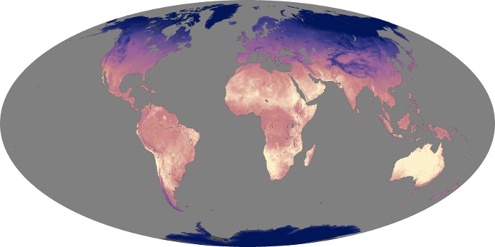 Global Map Land Surface Temperature Image 117