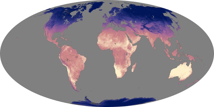 Global Map Land Surface Temperature Image 119
