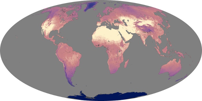 Global Map Land Surface Temperature Image 138
