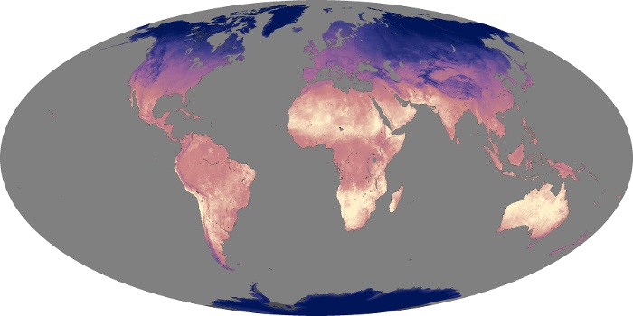 Global Map Land Surface Temperature Image 142