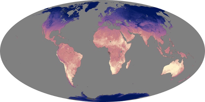 Global Map Land Surface Temperature Image 142