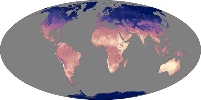 Global Map Land Surface Temperature Image 145
