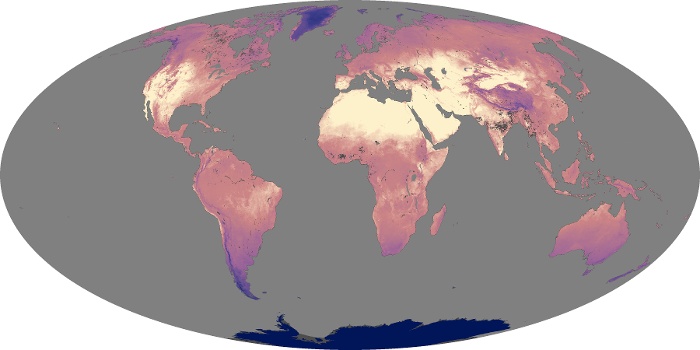 Global Map Land Surface Temperature Image 150