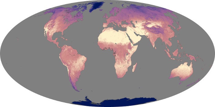 Global Map Land Surface Temperature Image 163