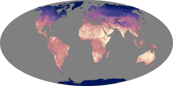 Global Map Land Surface Temperature Image 182