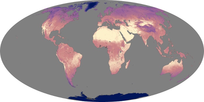 Global Map Land Surface Temperature Image 199