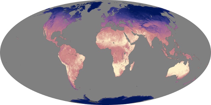 Global Map Land Surface Temperature Image 202