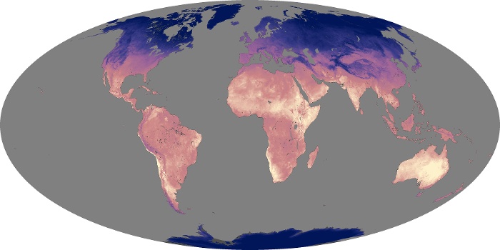 Global Map Land Surface Temperature Image 205