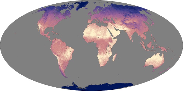 Global Map Land Surface Temperature Image 213