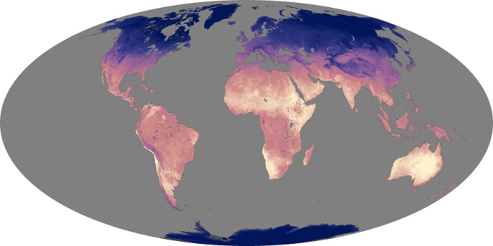 Global Map Land Surface Temperature Image 217