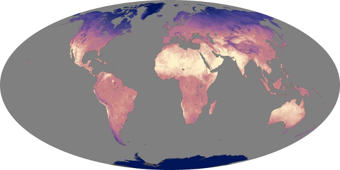 Global Map Land Surface Temperature Image 218