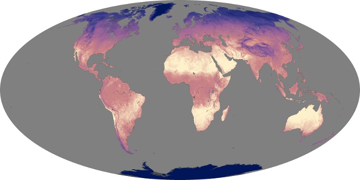 Global Map Land Surface Temperature Image 237