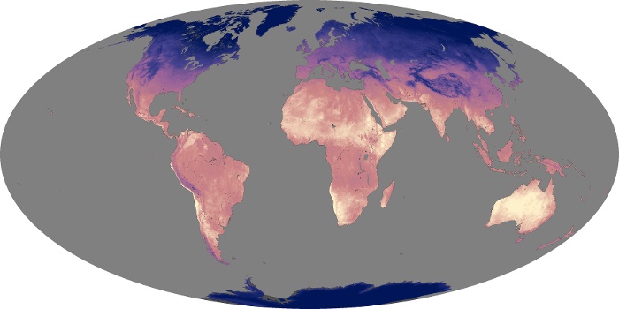 Global Map Land Surface Temperature Image 240