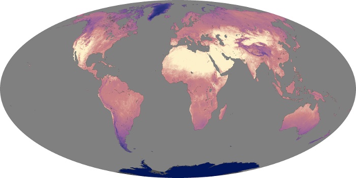 Global Map Land Surface Temperature Image 245