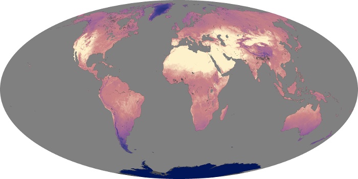 Global Map Land Surface Temperature Image 246