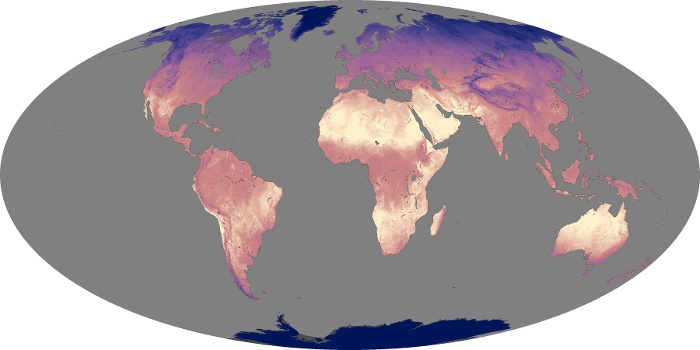 Global Map Land Surface Temperature Image 260