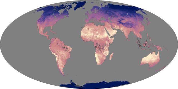 Global Map Land Surface Temperature Image 273