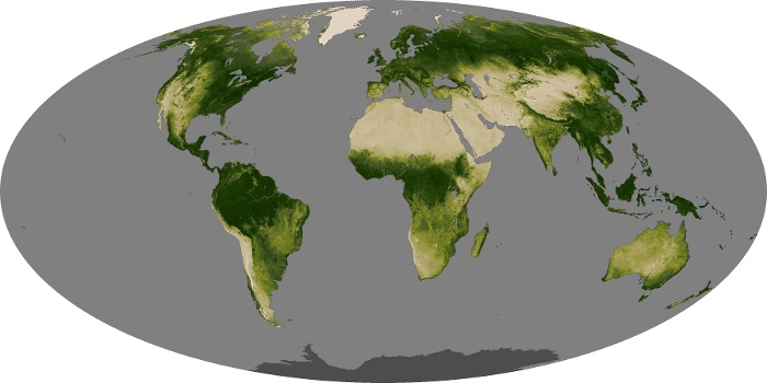 Global Map Vegetation Image 2
