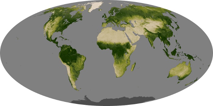 Global Map Vegetation Image 4