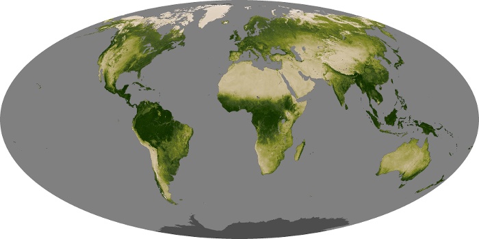 Global Map Vegetation Image 9