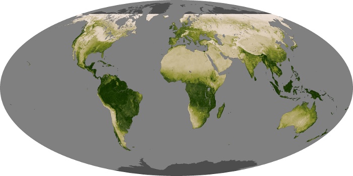 Global Map Vegetation Image 12