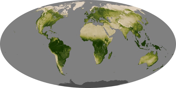 Global Map Vegetation Image 15