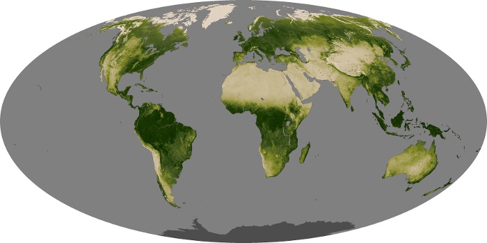 Global Map Vegetation Image 16