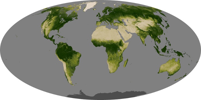 Global Map Vegetation Image 18
