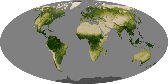 Global Map Vegetation Image 21